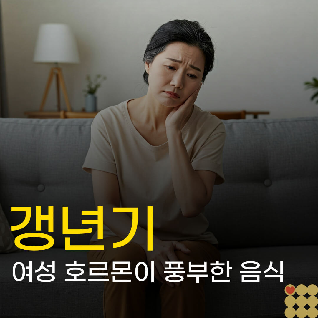 갱년기 여성 호르몬이 풍부한 음식