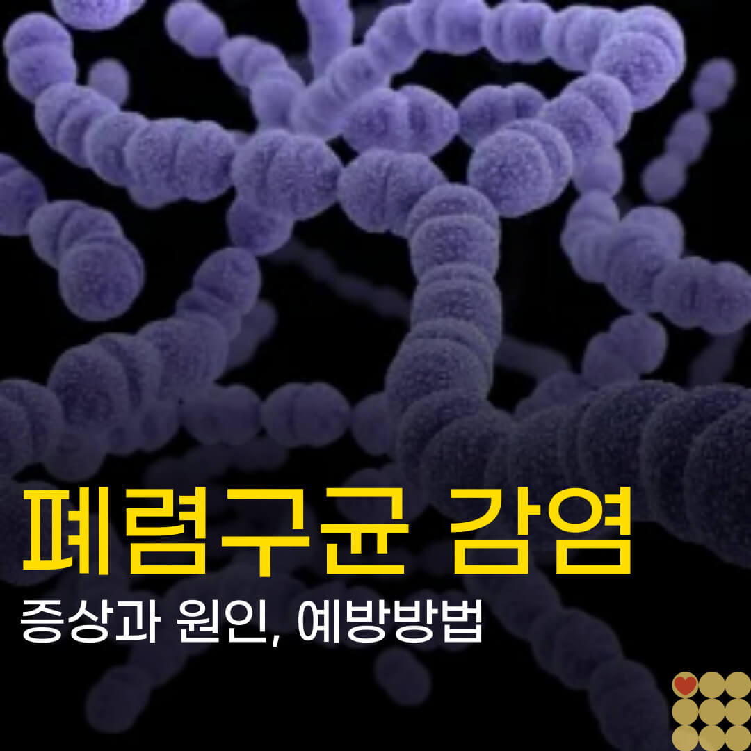 폐렴구균 감염, 증상과 원인, 예방방법
