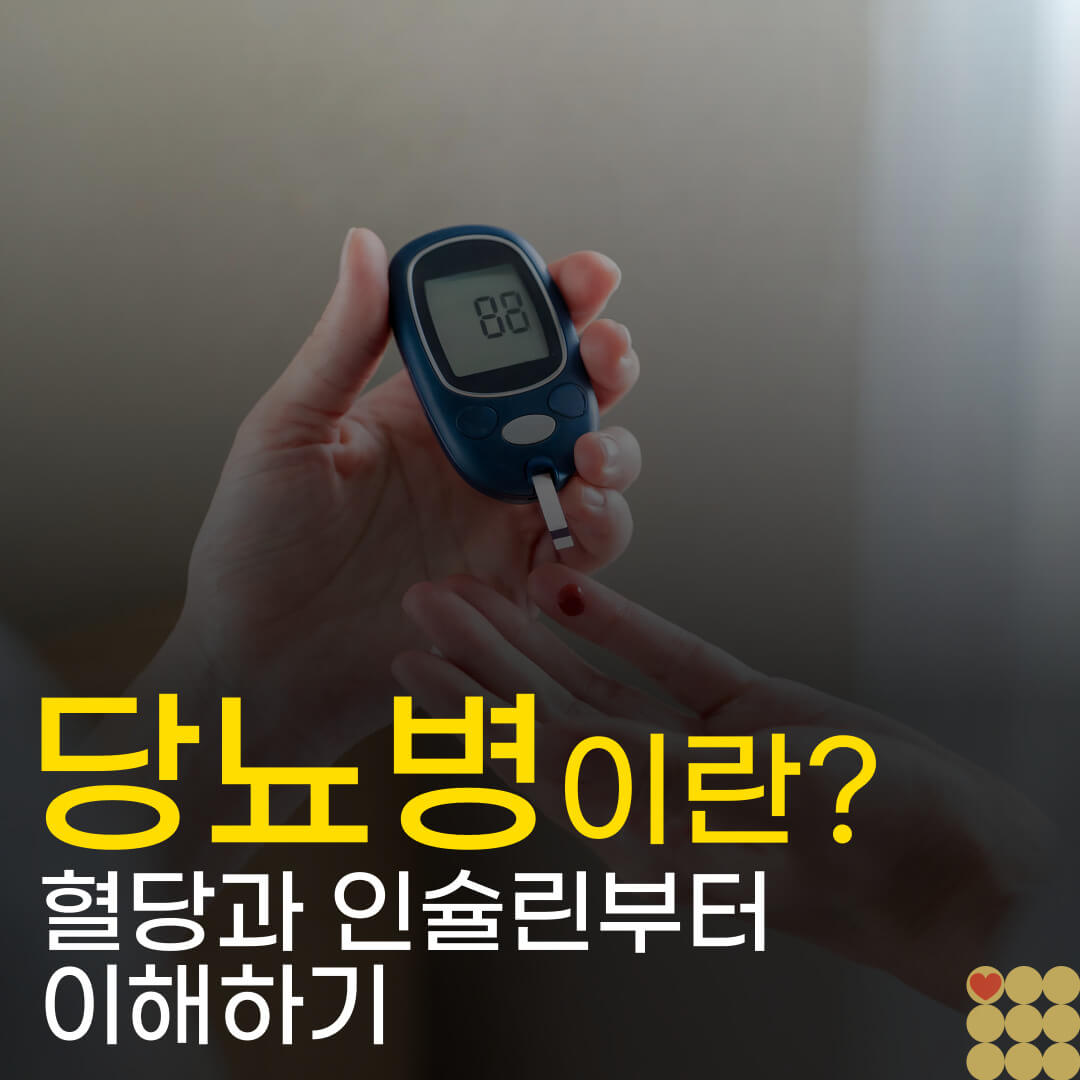 당뇨병이란 무엇인가요? 혈당과 인슐린부터 차근차근 이해하기