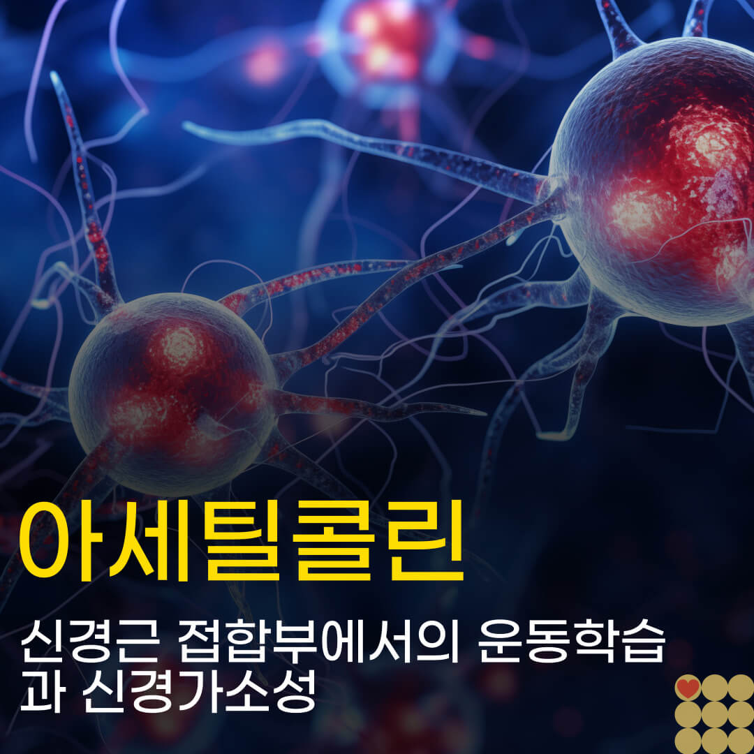 아세틸콜린 신경전달물질의 그림이 파란배경속에 있다.