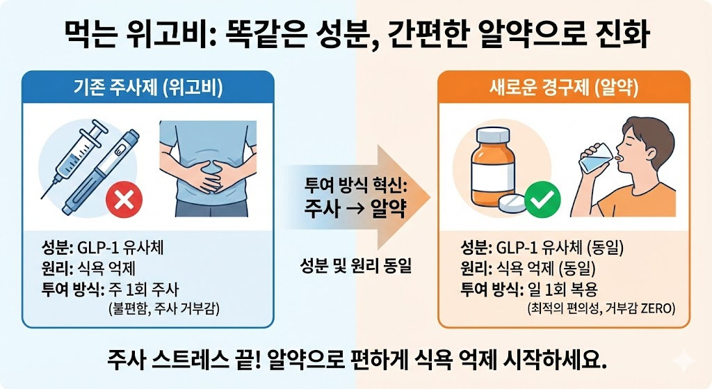 먹는 위고비 출시일과 가격 그리고 주사제와의 차이점 분석 2 image 34
