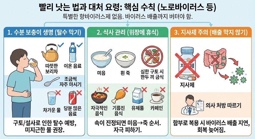 겨울철 장염 노로바이러스 증상과 전염 기간, 빨리 낫는 법 총정리 3 image 36