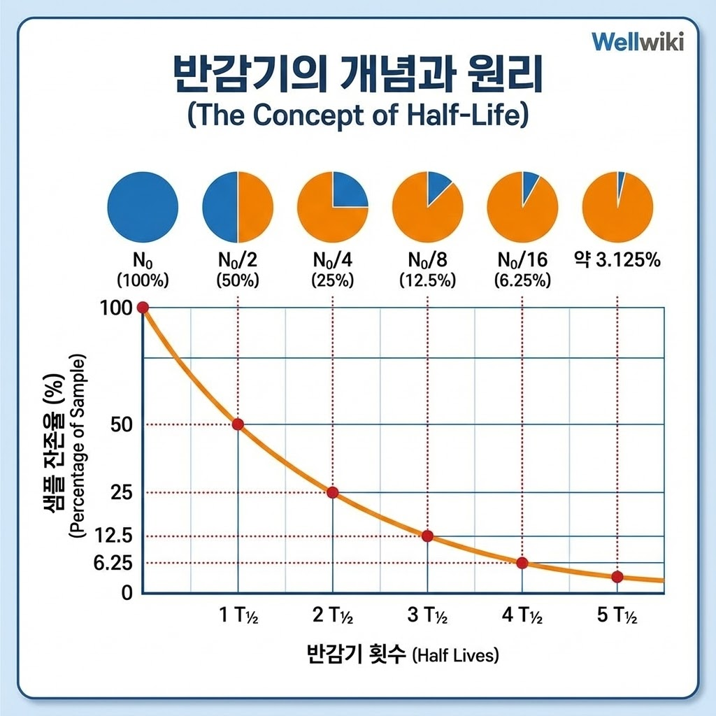 술과 커피가 수면을 망치는 시간 카페인 반감기와 알코올 분해 3단계 4 image 70