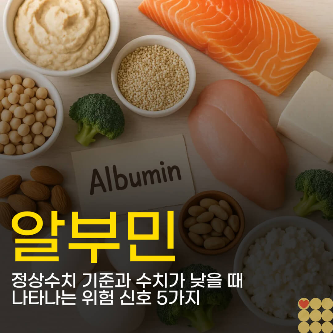 알부민 정상수치 기준과 수치가 낮을 때 나타나는 위험 신호 5가지