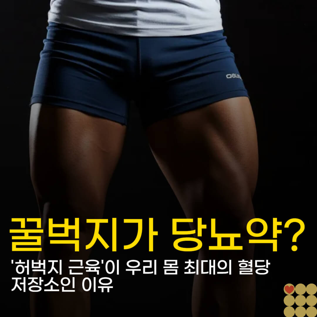 꿀벅지가 당뇨약보다 낫다? '허벅지 근육'이 우리 몸 최대의 혈당 저장소인 이유