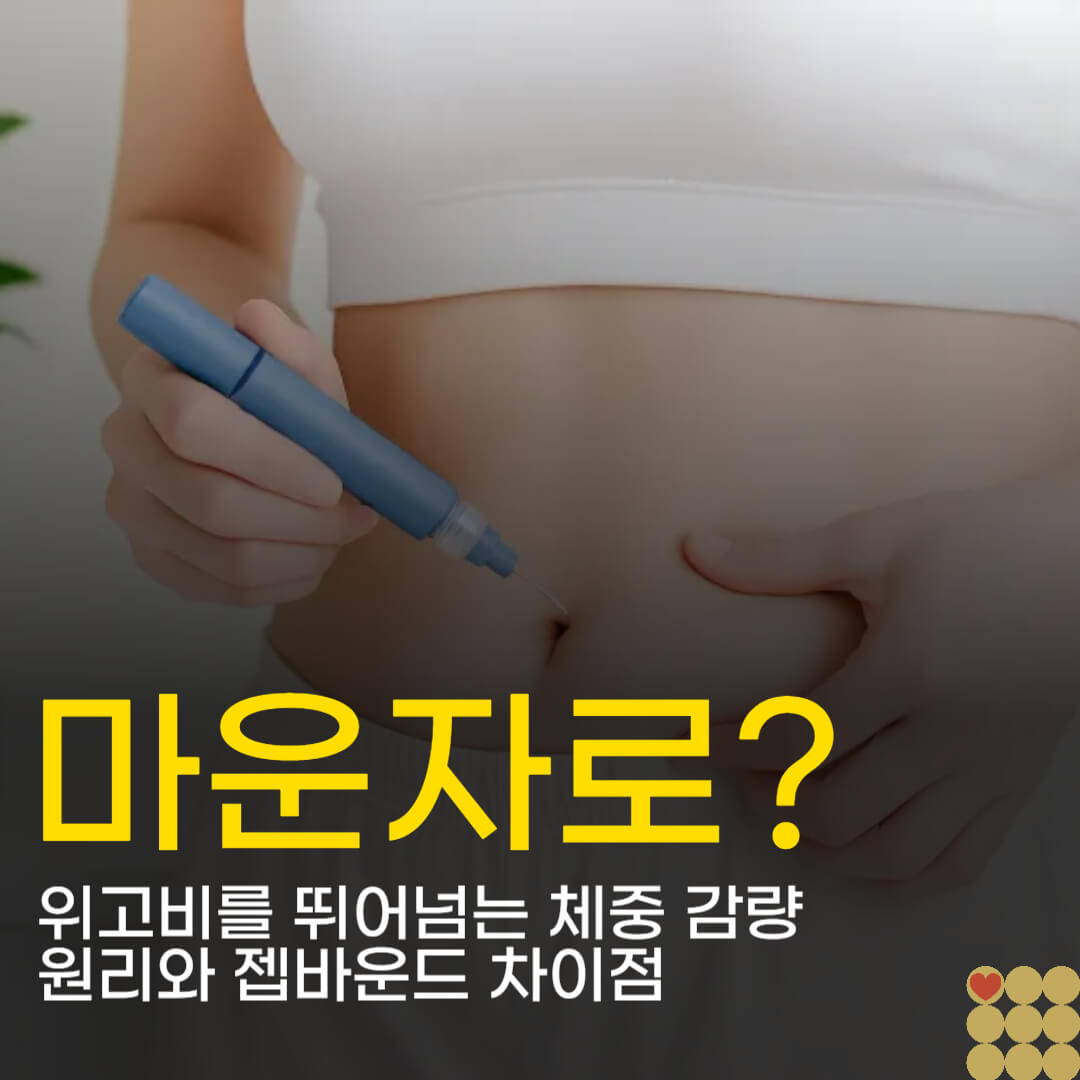 마운자로가 뭐길래? 위고비를 뛰어넘는 체중 감량 원리와 젭바운드 차이점