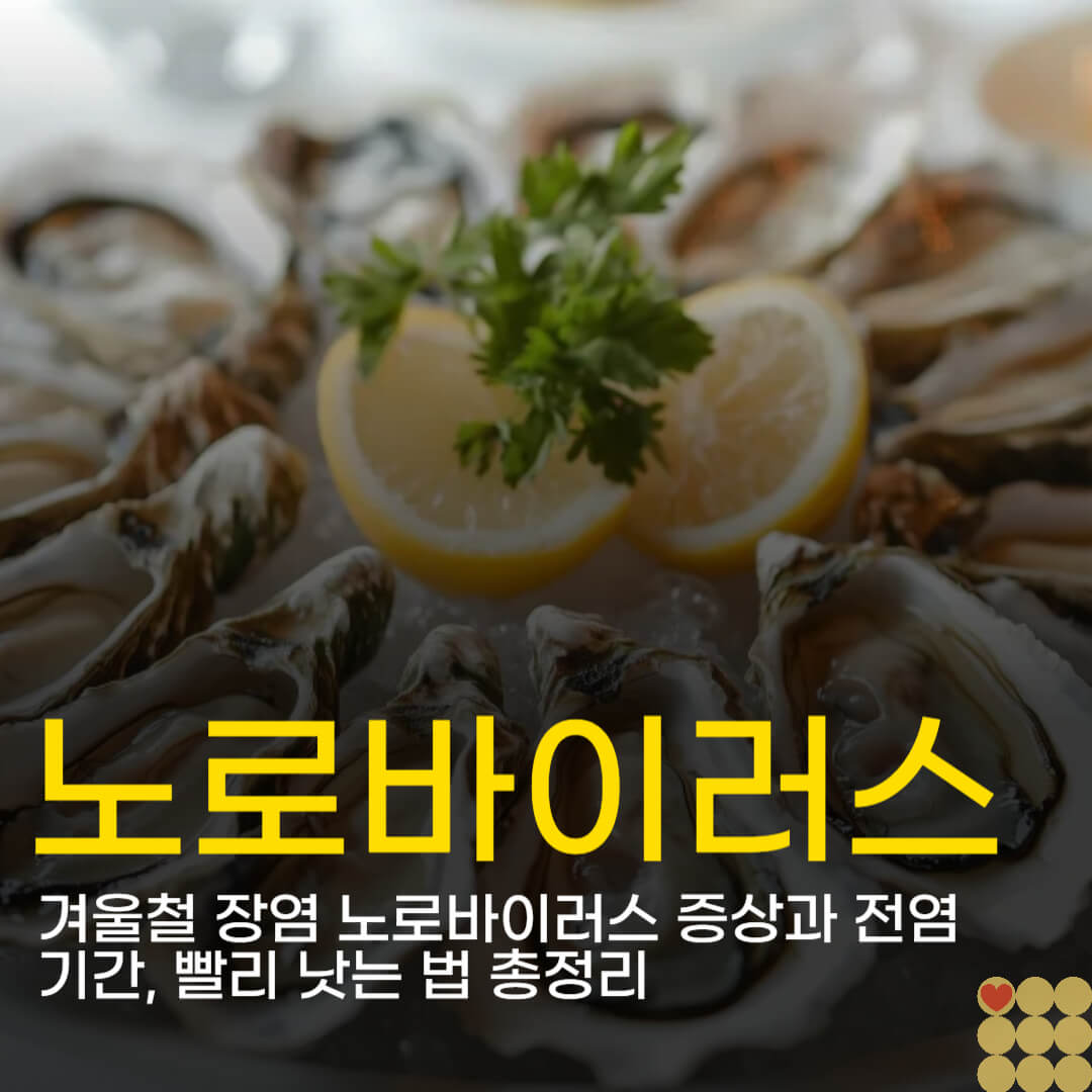 겨울철 장염 노로바이러스 증상과 전염 기간, 빨리 낫는 법 총정리