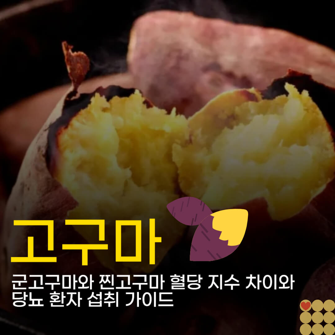 군고구마와 찐고구마 혈당 지수 차이와 당뇨 환자 섭취 가이드