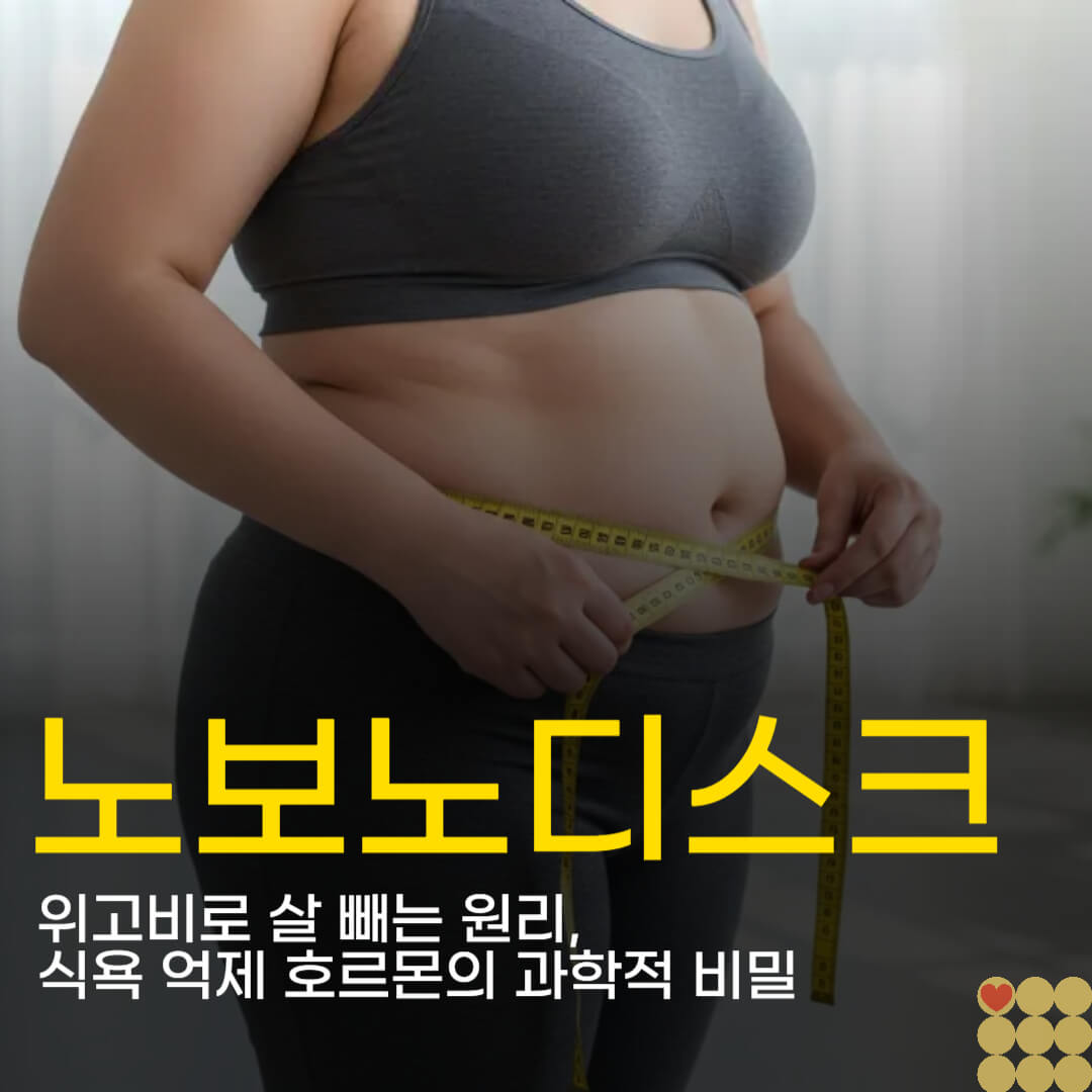 노보노디스크 위고비로 살 빼는 원리, 식욕 억제 호르몬의 과학적 비밀