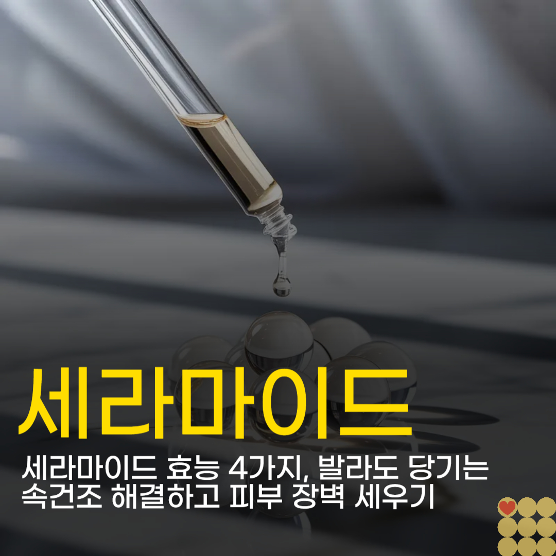 세라마이드 효능 4가지, 발라도 당기는 속건조 해결하고 피부 장벽 세우기