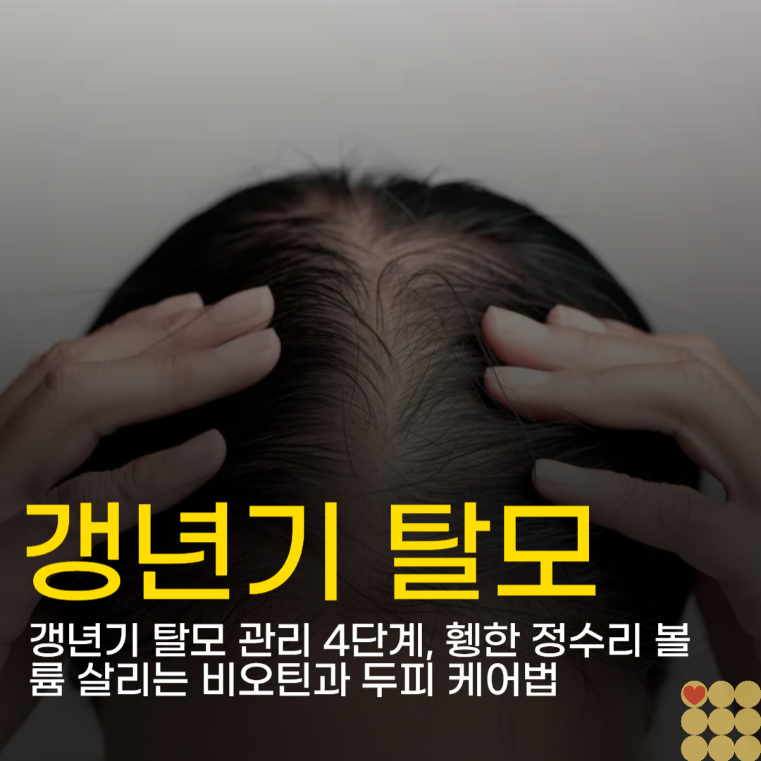 갱년기 탈모 관리 4단계, 휑한 정수리 볼륨 살리는 비오틴과 두피 케어법