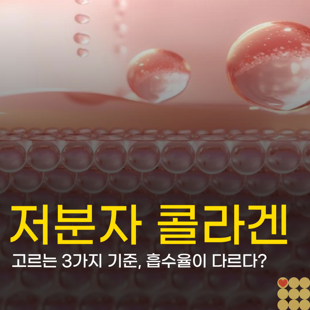 저분자 콜라겐 고르는 3가지 기준, 흡수율이 다르다?
