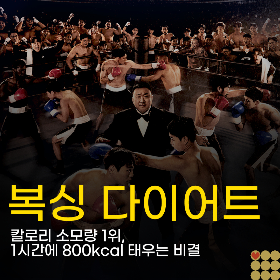 복싱 다이어트 칼로리 소모량 1위, 1시간에 800kcal 태우는 비결