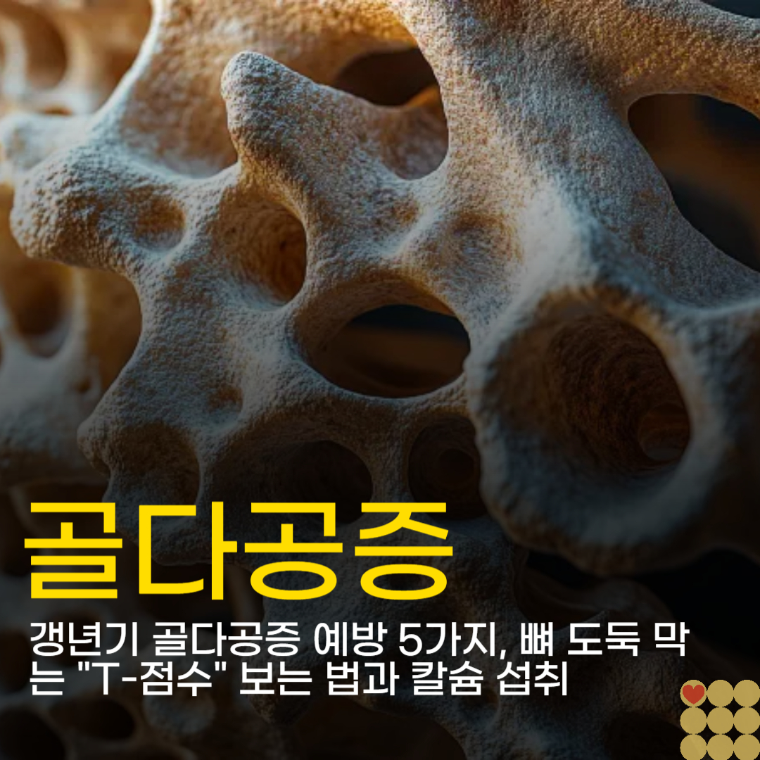 갱년기 골다공증 예방 5가지, 뼈 도둑 막는 "T-점수" 보는 법과 칼슘 섭취