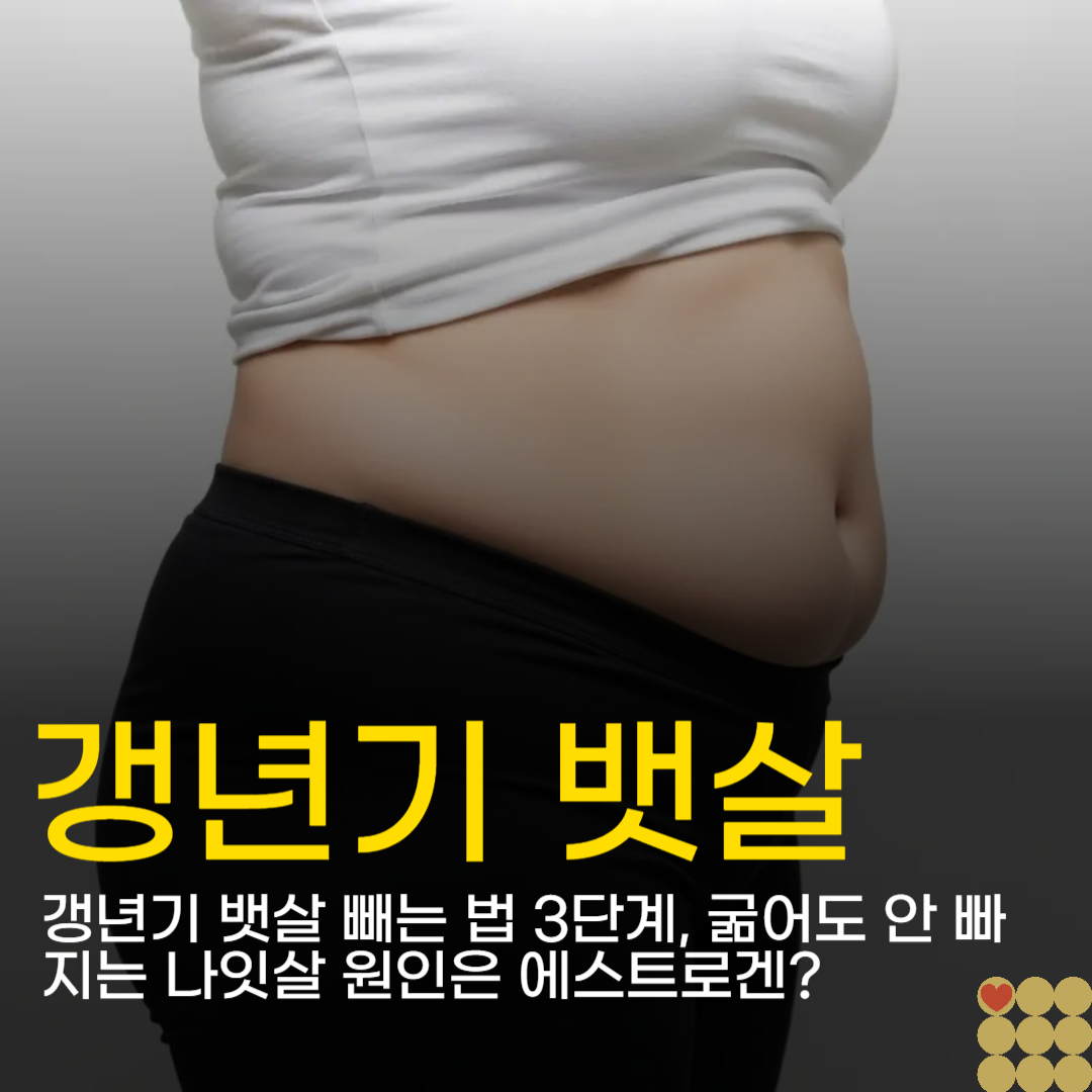 갱년기 뱃살 빼는 법 3단계, 굶어도 안 빠지는 나잇살 원인은 에스트로겐?