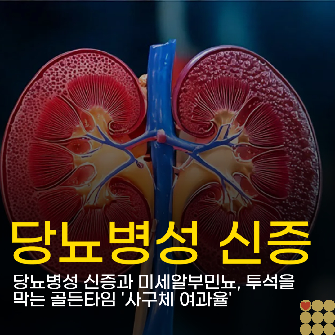 당뇨병성 신증과 미세알부민뇨, 투석을 막는 골든타임 '사구체 여과율'