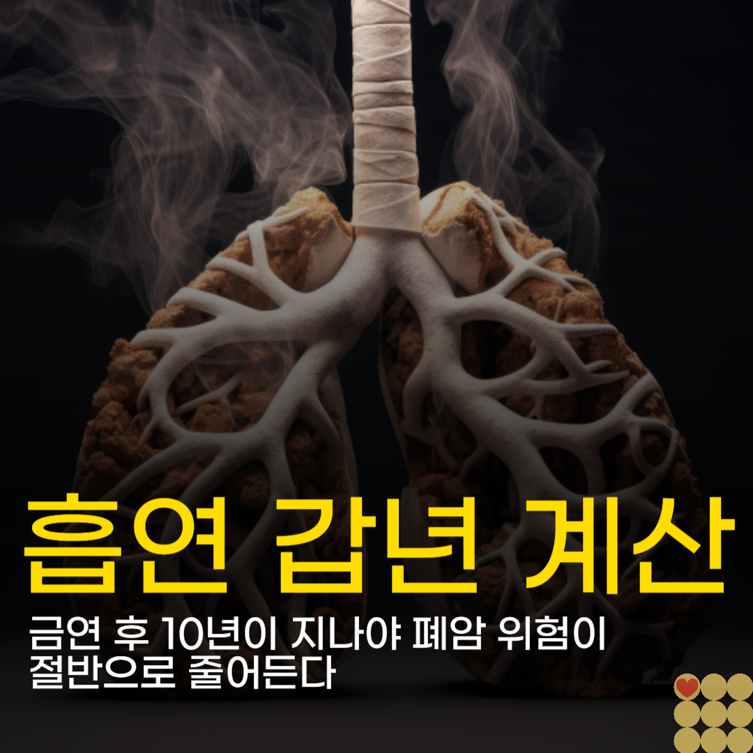 금연 후 10년이 지나야 폐암 위험이 절반으로 줄어든다 (흡연 갑년 계산)