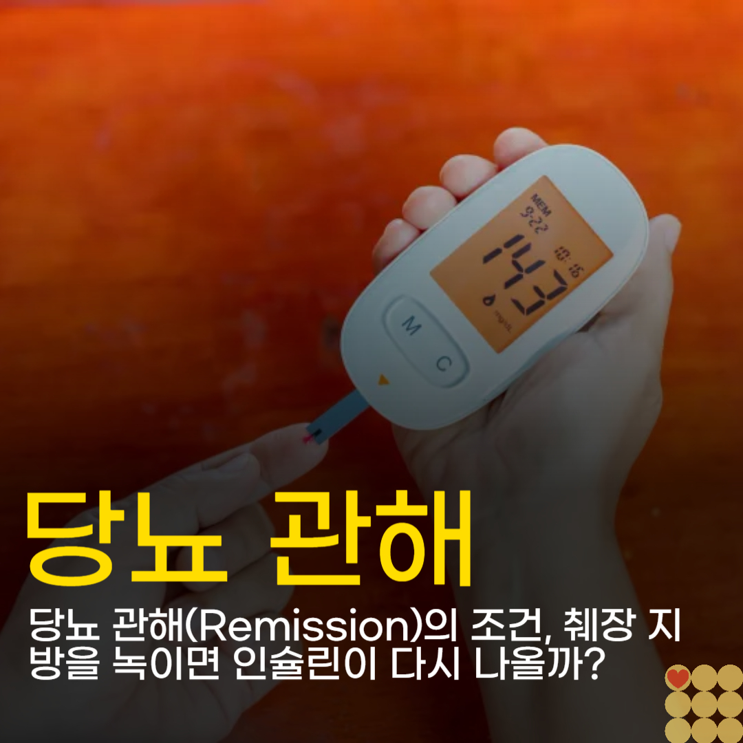 당뇨 관해(Remission)의 조건, 췌장 지방을 녹이면 인슐린이 다시 나올까?