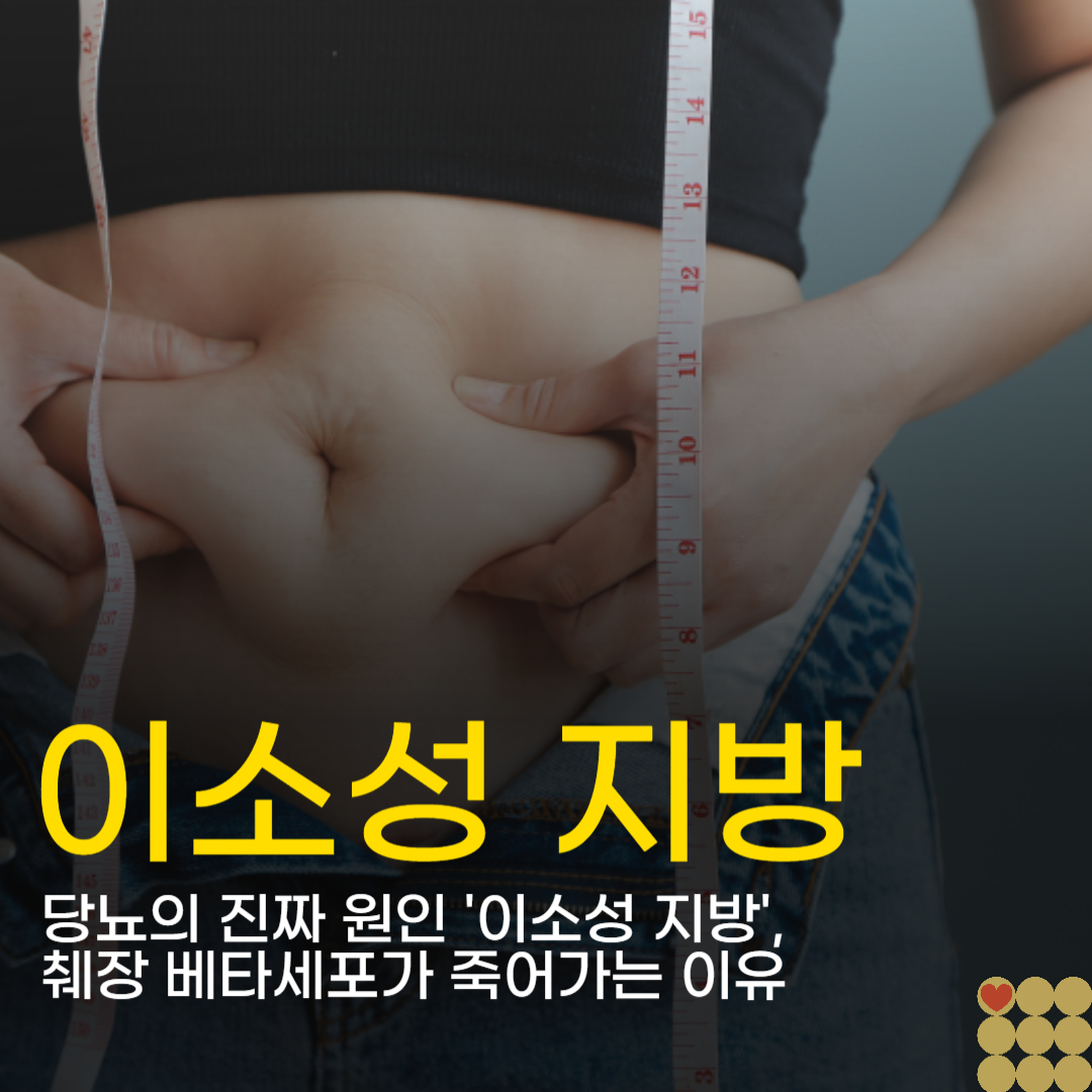 당뇨의 진짜 원인 '이소성 지방', 췌장 베타세포가 죽어가는 이유