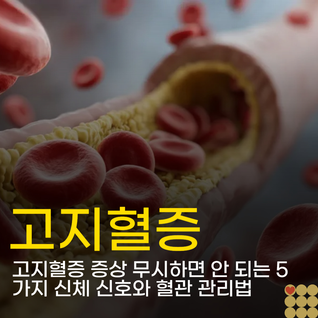고지혈증 증상 무시하면 안 되는 5가지 신체 신호와 혈관 관리법