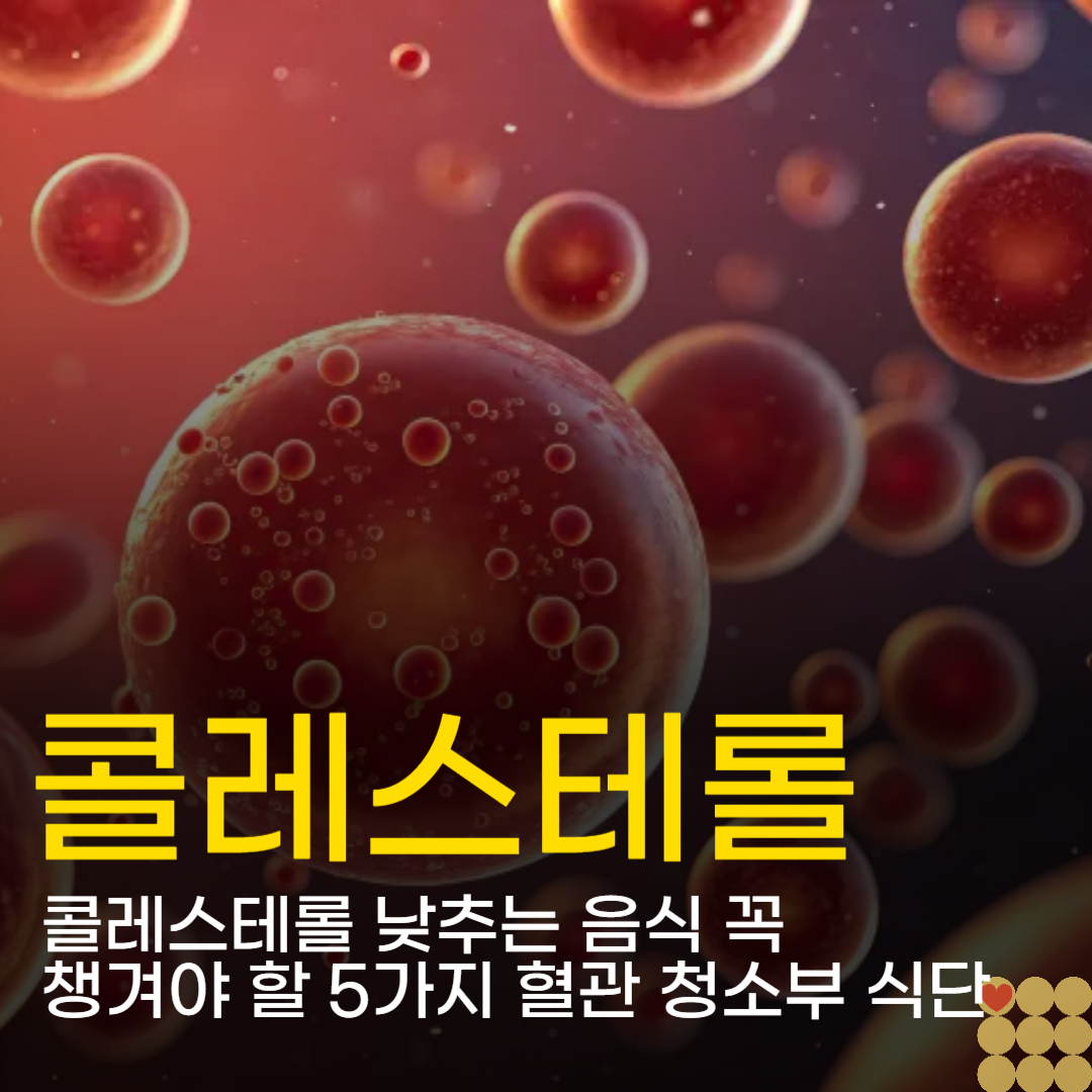 콜레스테롤 낮추는 음식 꼭 챙겨야 할 5가지 혈관 청소부 식단