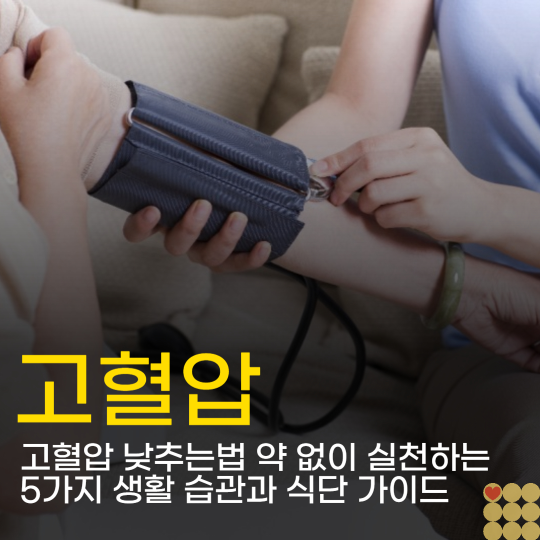 고혈압 낮추는법 약 없이 실천하는 5가지 생활 습관과 식단 가이드