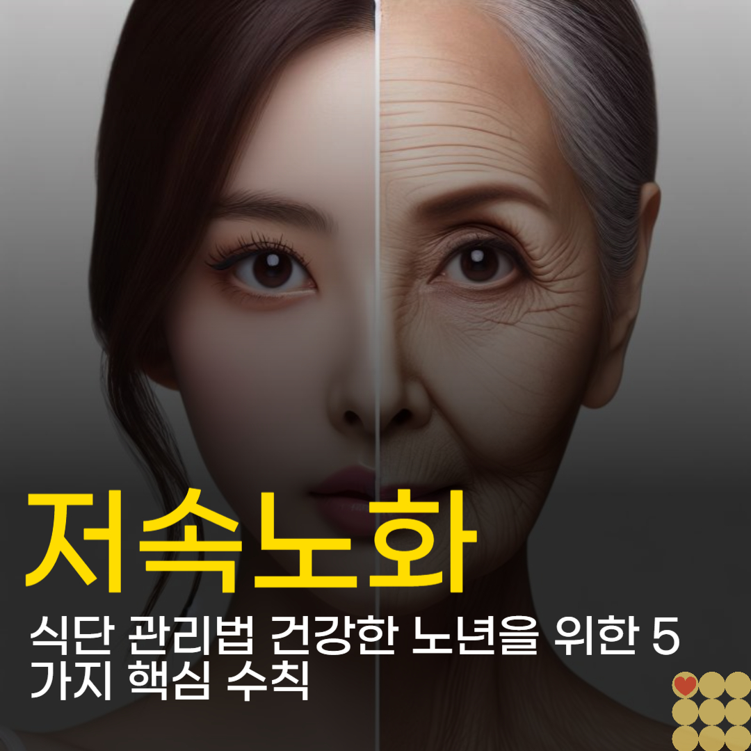 저속노화 식단 관리법 건강한 노년을 위한 5가지 핵심 수칙