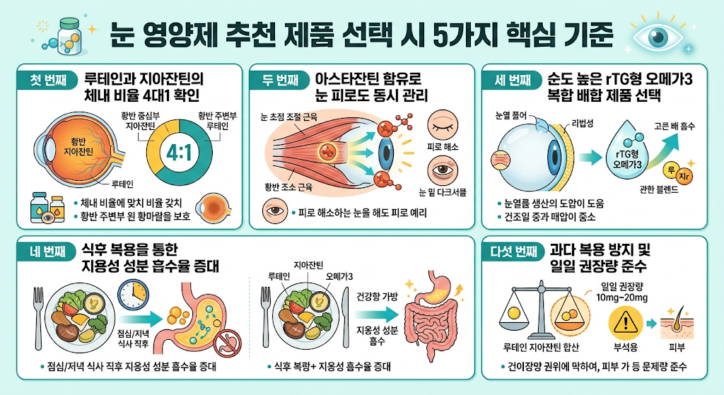 눈 영양제 추천 및 선택 시 꼭 알아야 할 5가지 핵심 기준 3 image 14