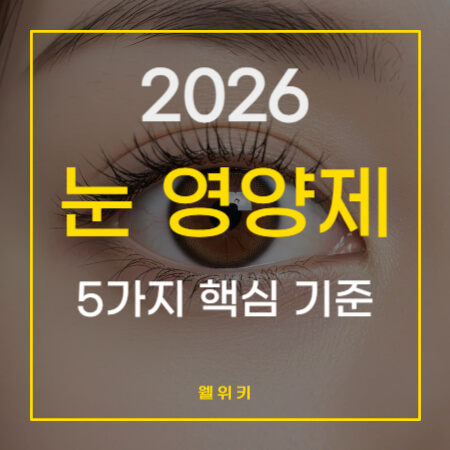 눈 영양제 추천 및 선택 시 꼭 알아야 할 5가지 핵심 기준