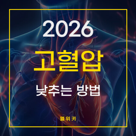 고혈압 수치 기준 과 낮추는 5가지 핵심 식습관 수칙