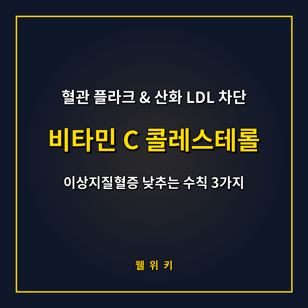 비타민 C 콜레스테롤 낮추는 효능과 산화 방지 복용 수칙 3가지