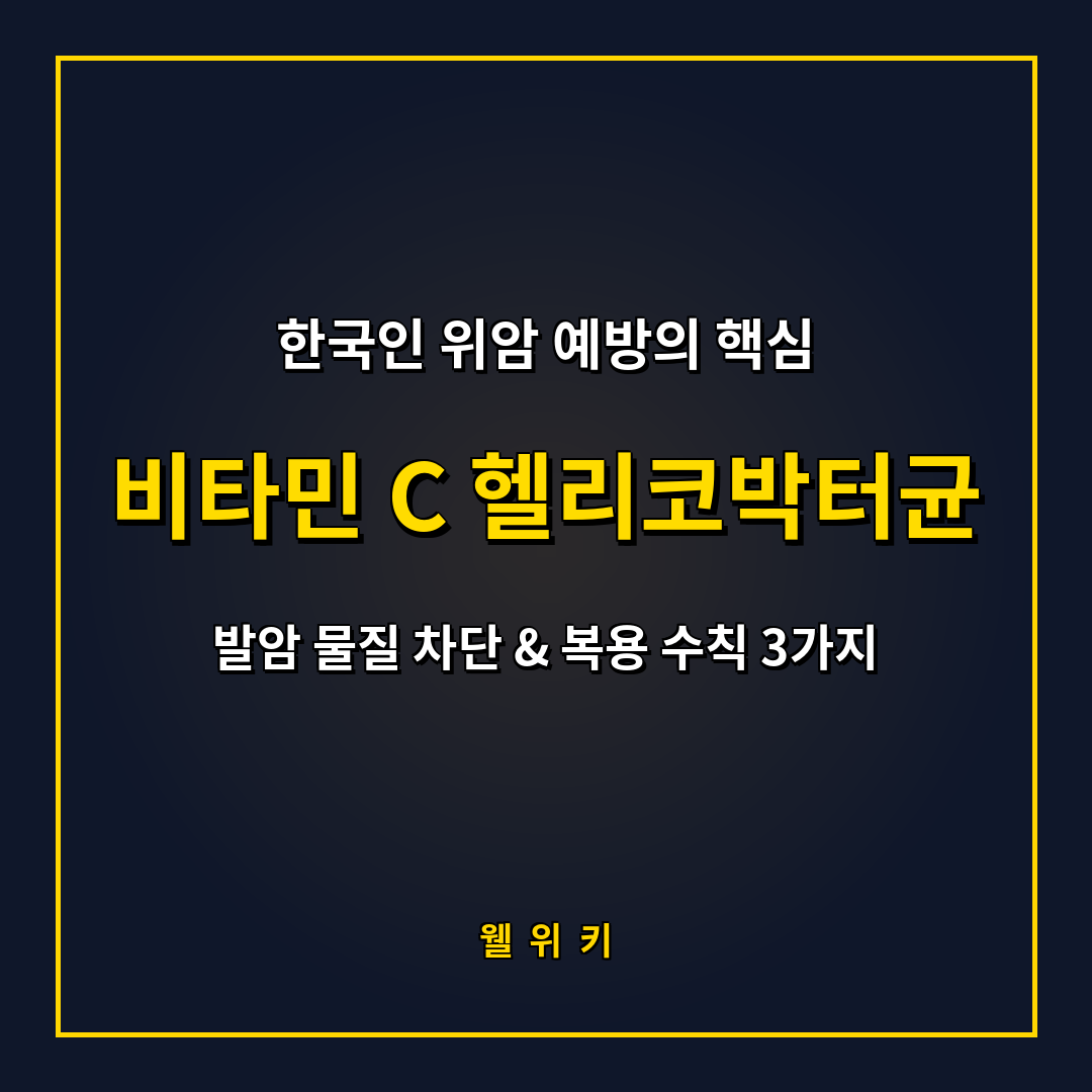 비타민 C 헬리코박터균 억제 효능과 위암 예방 복용 수칙 3가지