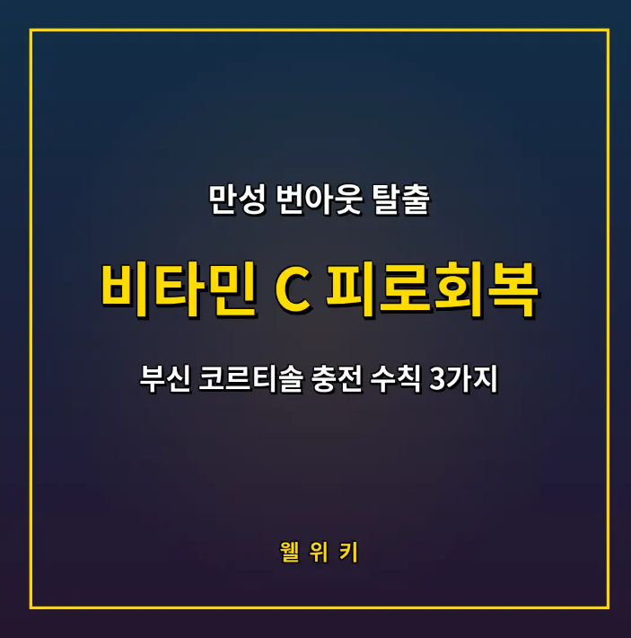 비타민 C 피로회복 효능과 부신 피로 극복 수칙 3가지