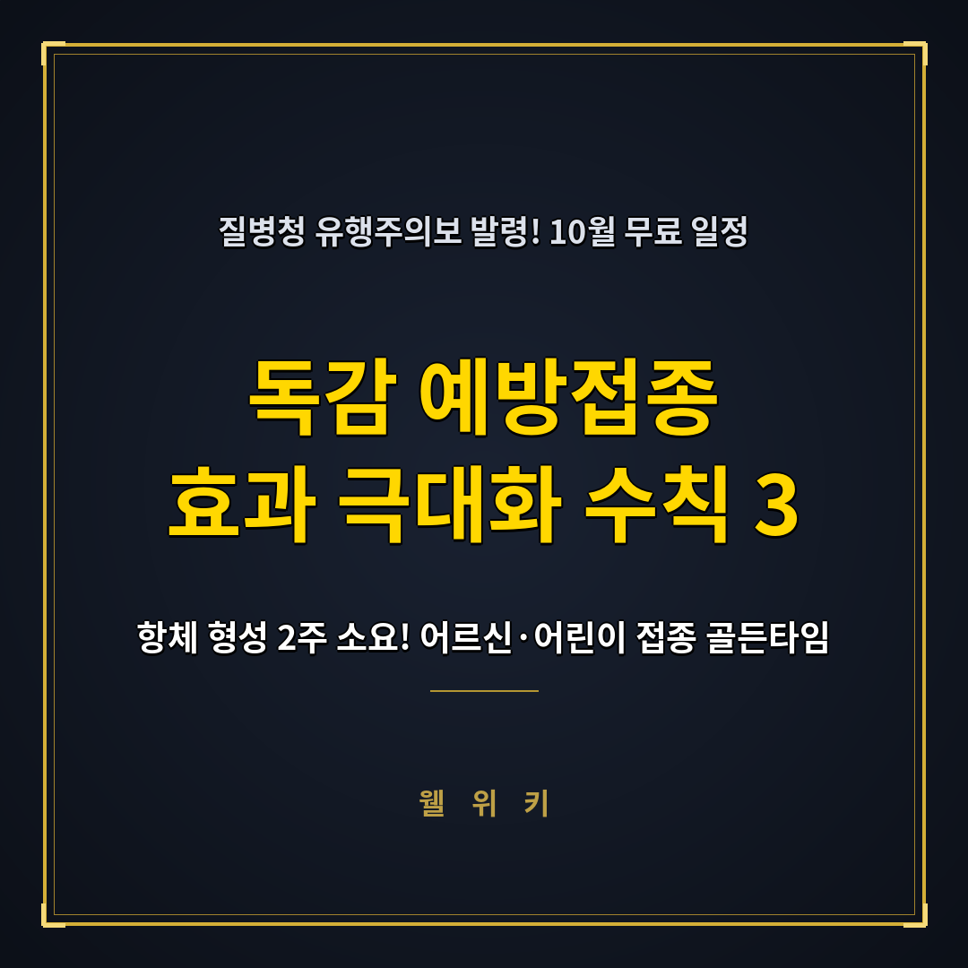독감 예방접종 10월 무료 대상 일정과 효과 높이는 접종 수칙 3가지